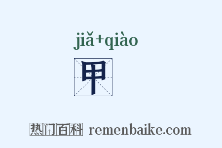甲殻是什么意思的图片